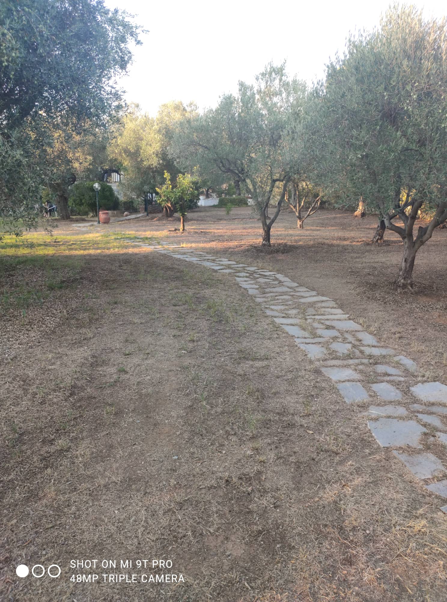 301517052_1973594972849352_5252603356105857912_n