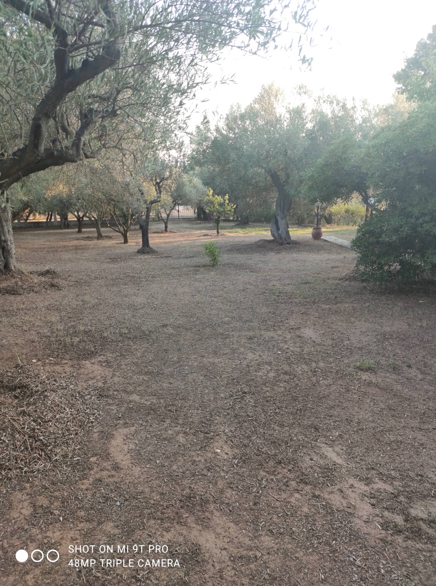 301673773_1797105523965168_2186601813466006380_n