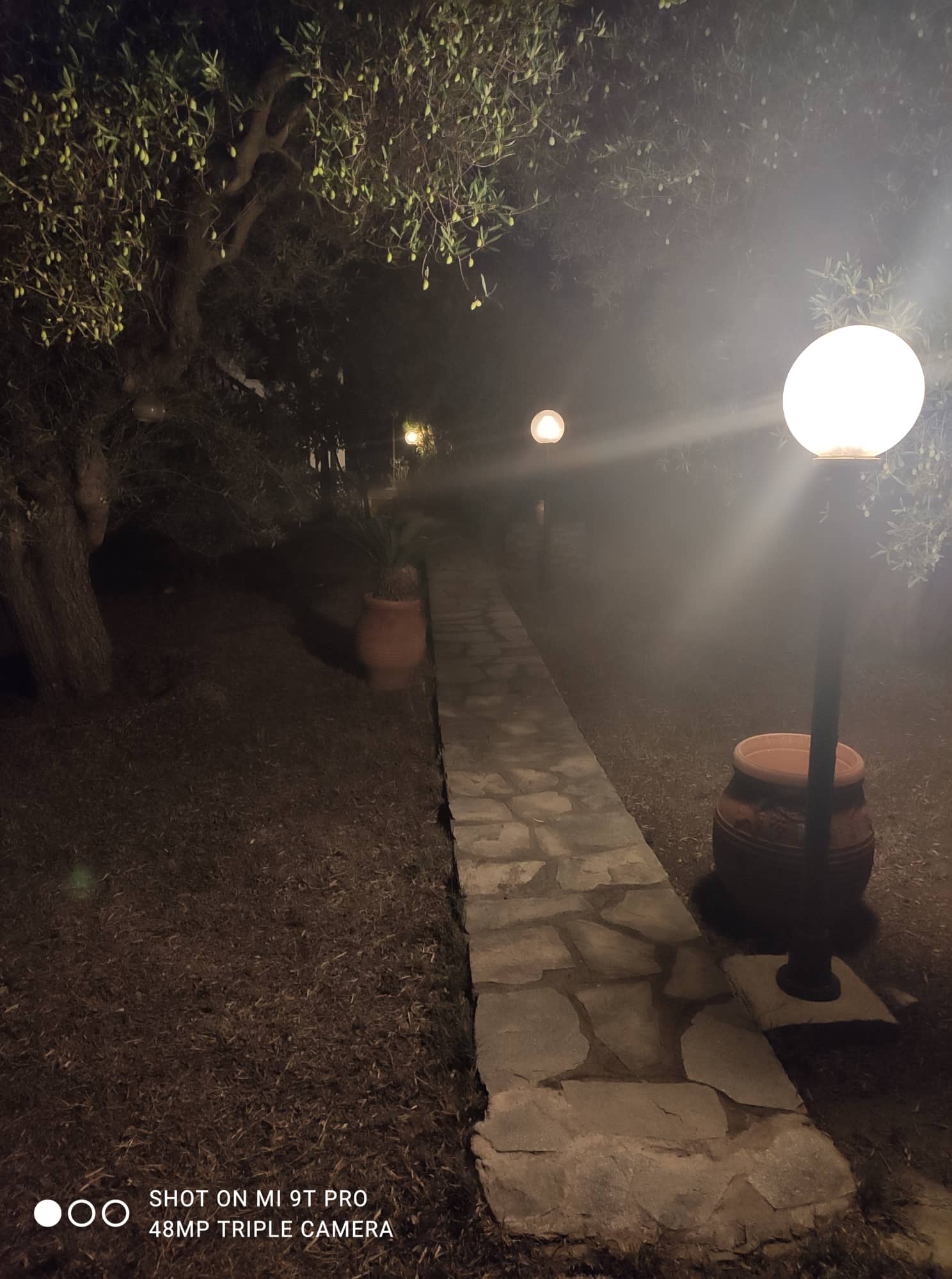 302178725_3373121169582913_5727900656262988747_n