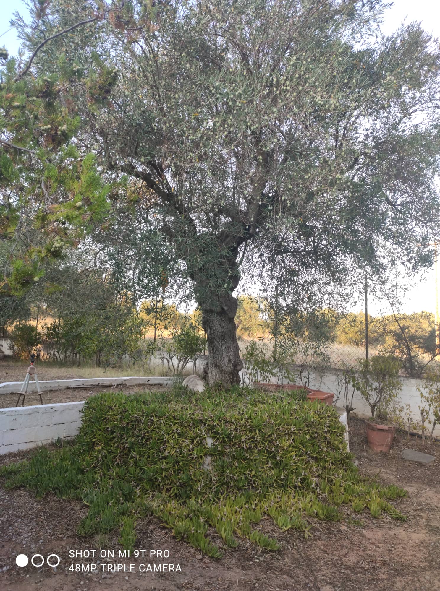 302512004_1448359578941989_5216144025849484257_n